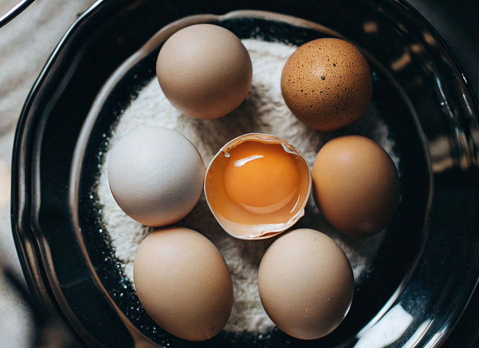 experiencia en fabricación de huevos de 40 años