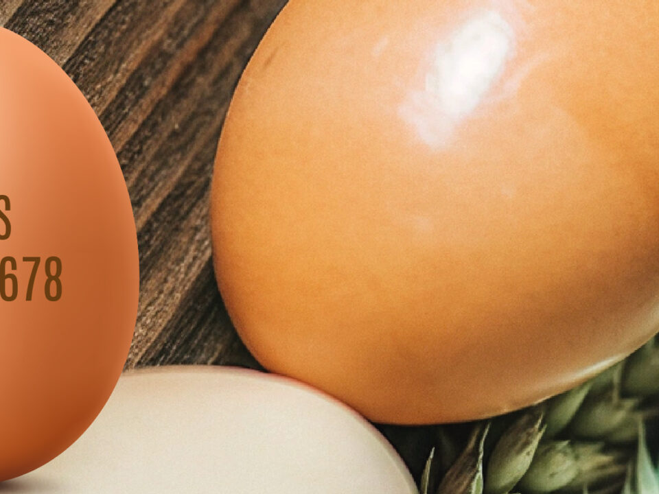huevos de producción propia y el código que lleva en la cáscara del huevo