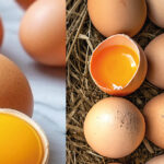 huevos en valencia de calidad de gallina y de codorniz bienestar animal