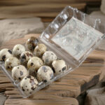 huevos de codorniz de avícola vidal satorres