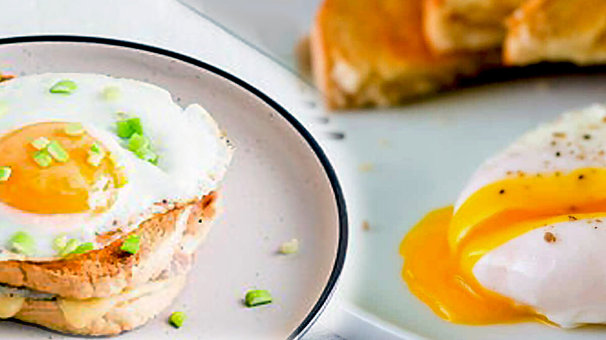 Yema de huevos frescos avicola vidal satorres