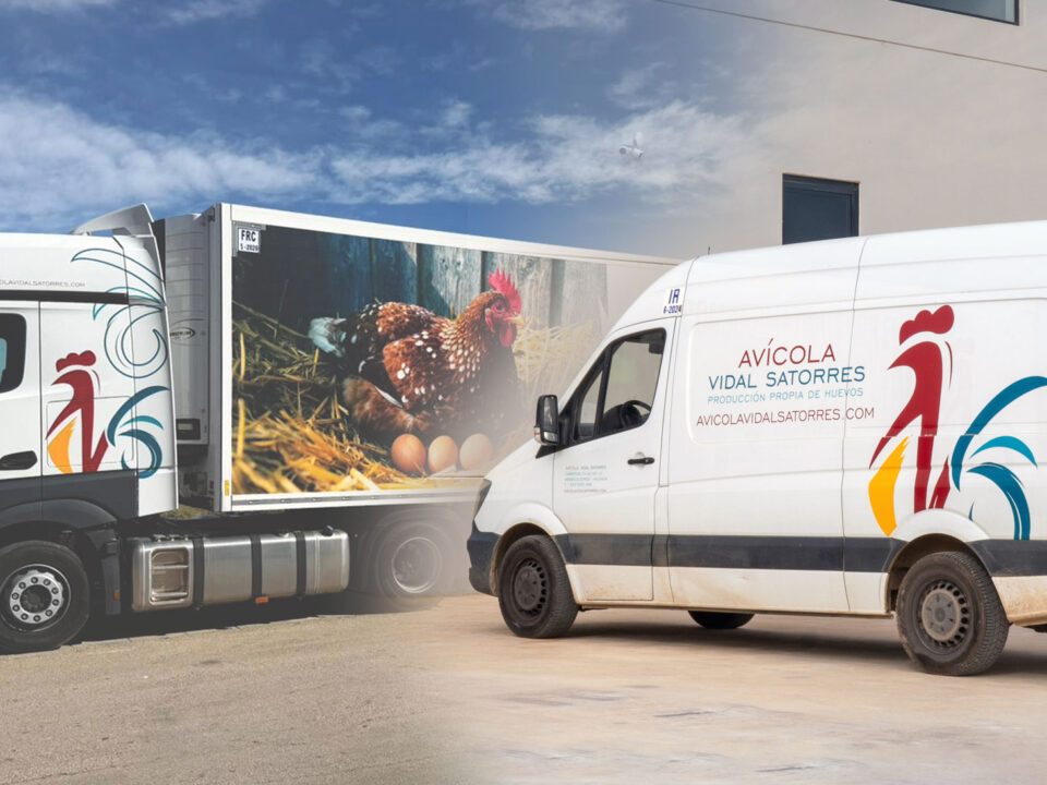 furgonetas avícola vidal satorres entrega de huevos frescos